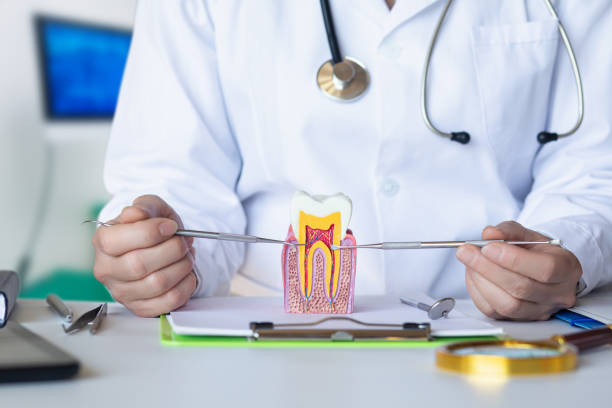 Best Emergency Dental Care for Broken or Chipped Teeth in Brooksville, MS